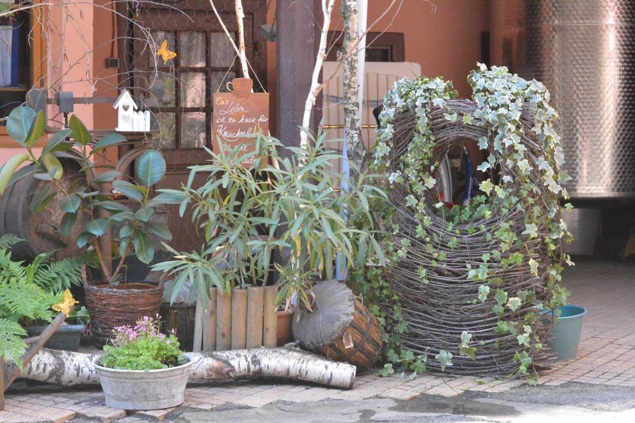 קולמר Chez Myriam Bed And Breakfast Studio Parme מראה חיצוני תמונה