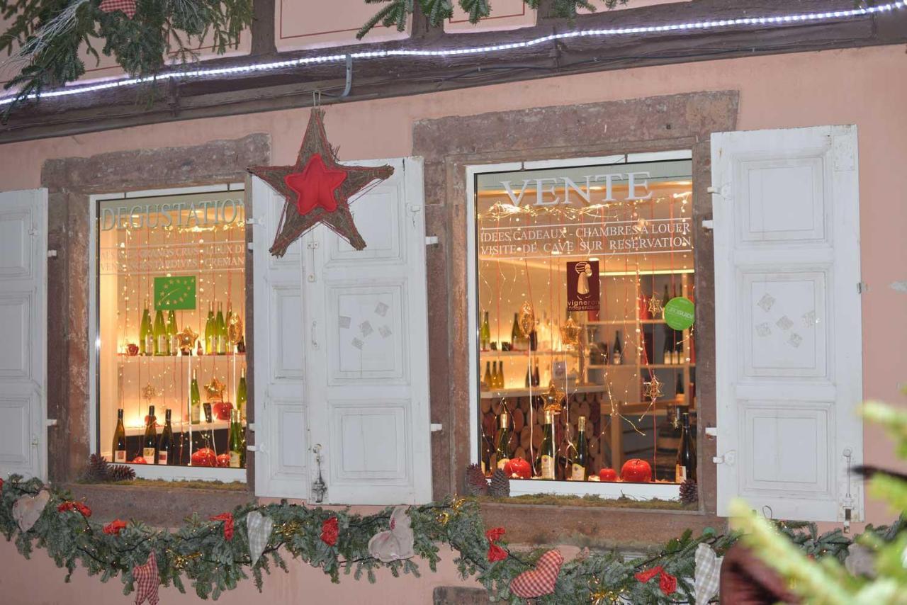 קולמר Chez Myriam Bed And Breakfast Studio Parme מראה חיצוני תמונה